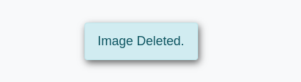 Alert info message